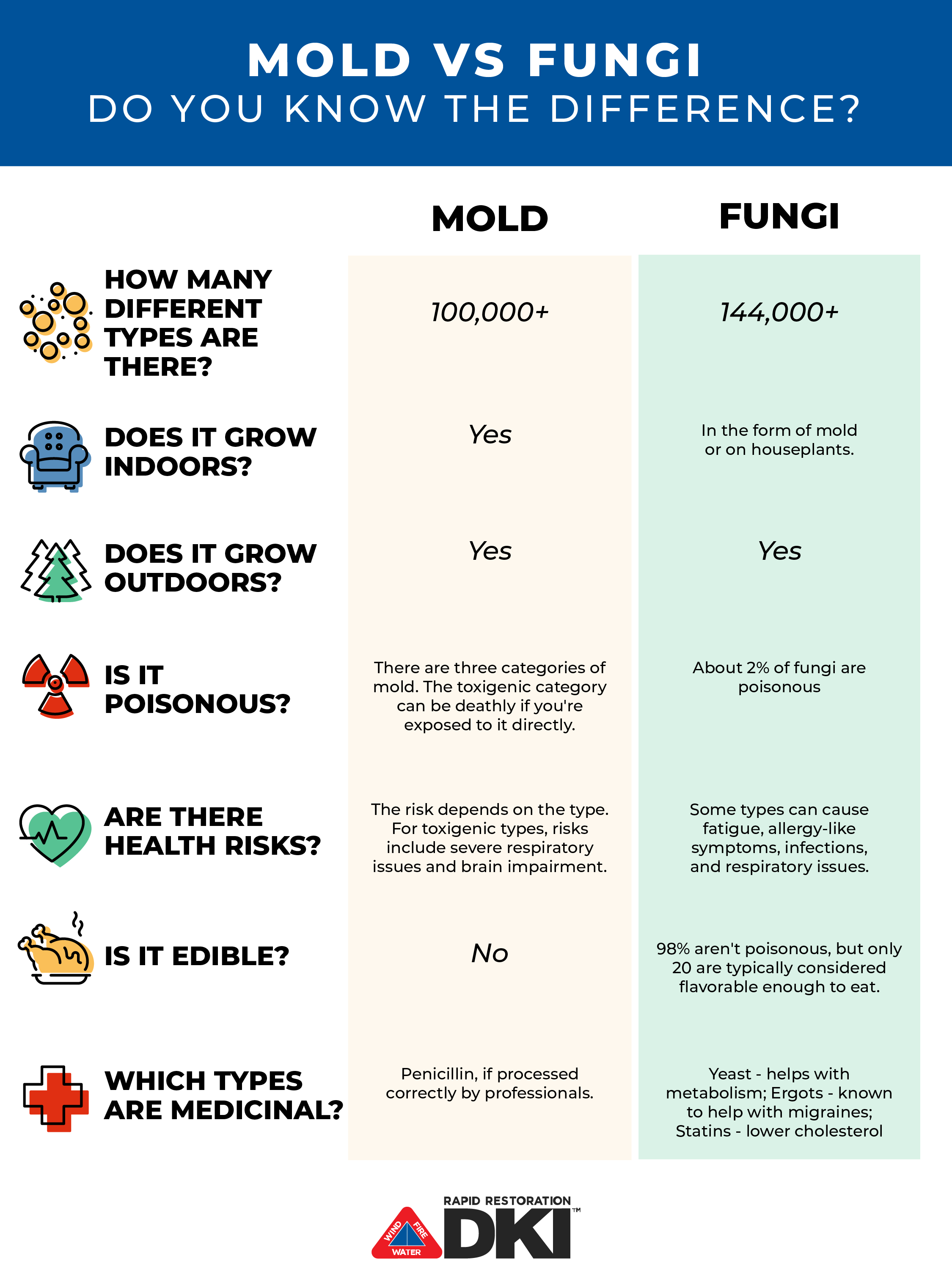 mildew-vs-mold-what-are-they-and-whats-the-difference-starjoa